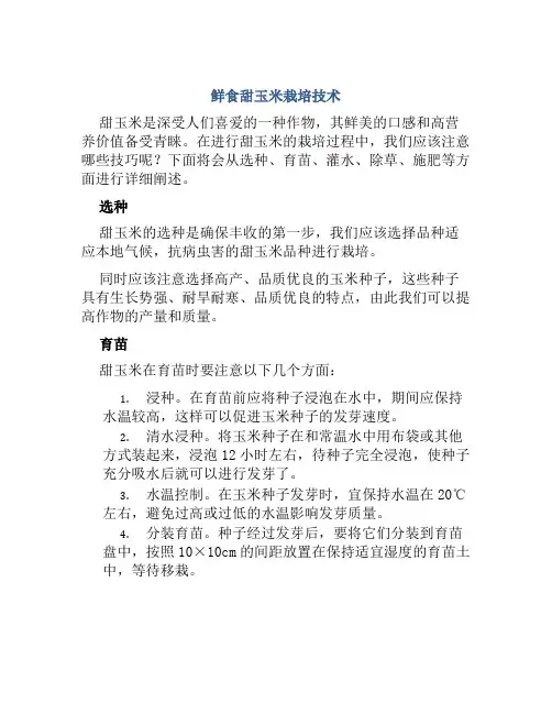 鲜食甜玉米栽培技术