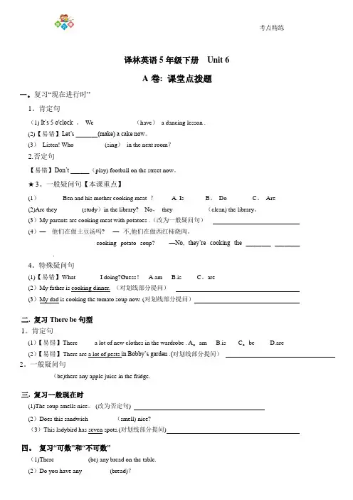 译林英语5B U6考点精练