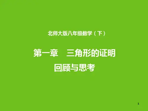三角形的证明 复习PPT幻灯片课件