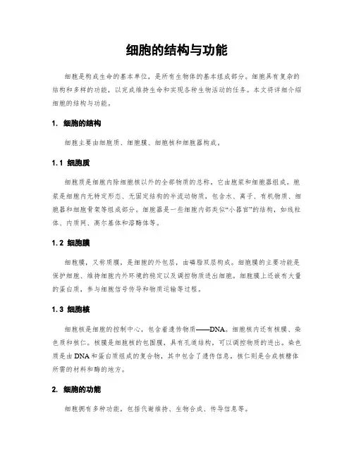 细胞的结构与功能