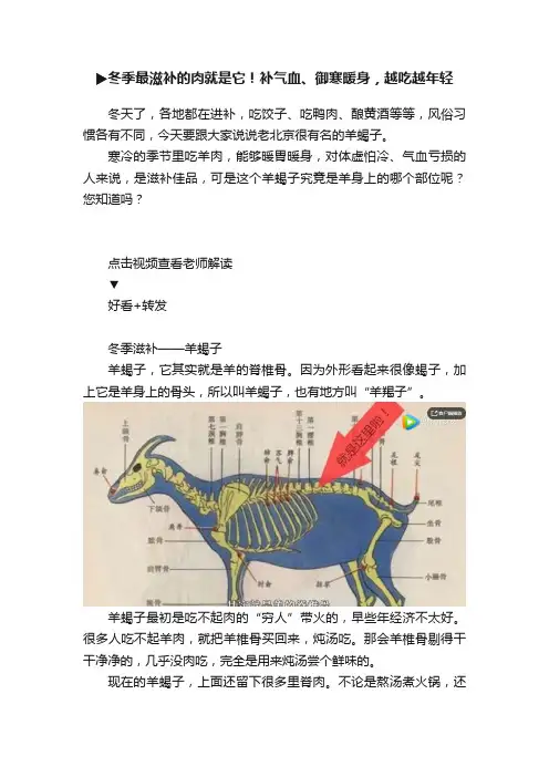 ?冬季最滋补的肉就是它！补气血、御寒暖身，越吃越年轻