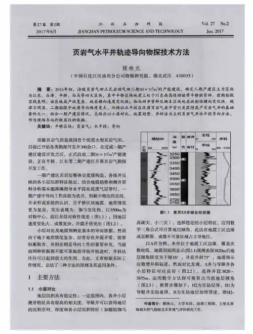 页岩气水平井轨迹导向物探技术方法