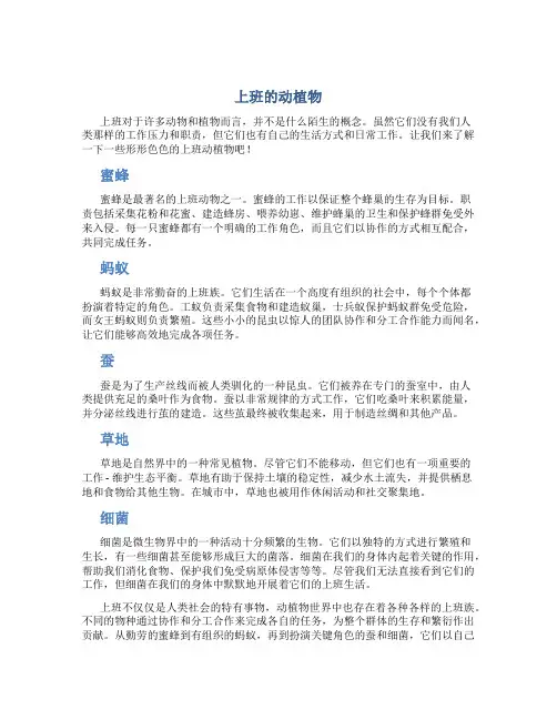 形容上班的动植物