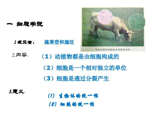 显微镜的结构及使用方法