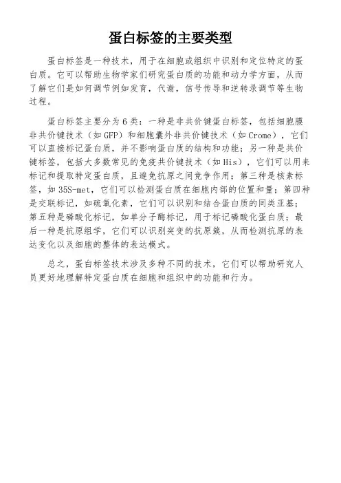 蛋白标签的主要类型