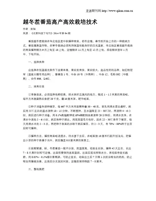 越冬茬番茄高产高效栽培技术