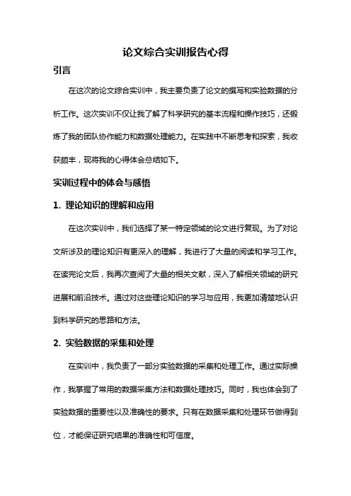 论文综合实训报告心得