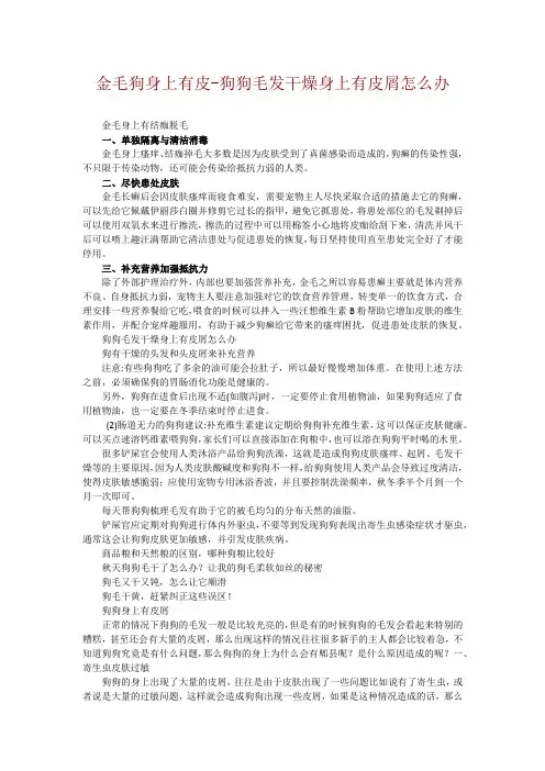 金毛狗身上有皮-狗狗毛发干燥身上有皮屑怎么办