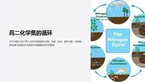 《高二化学氮的循环》课件