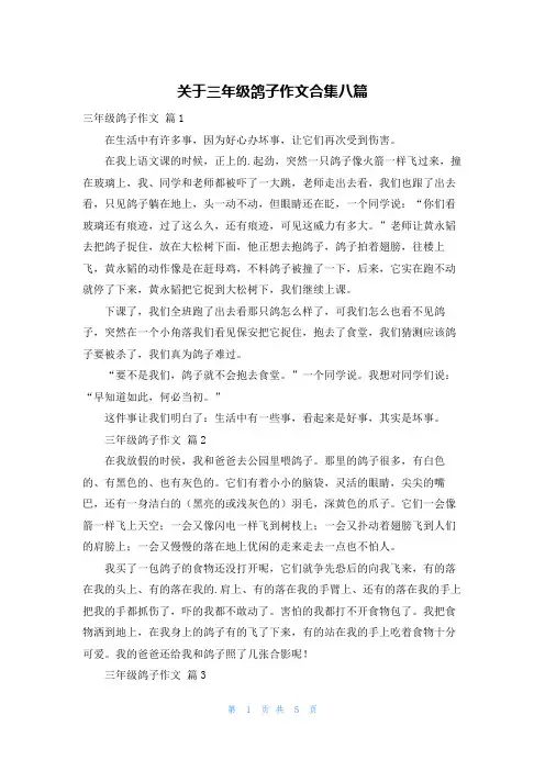 关于三年级鸽子作文合集八篇