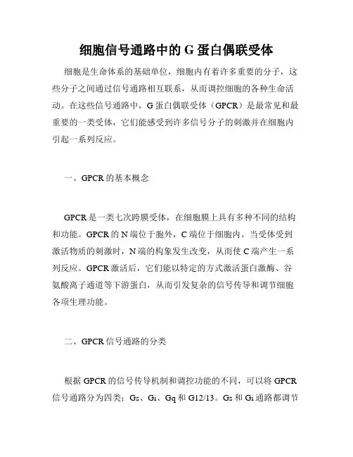 细胞信号通路中的G蛋白偶联受体