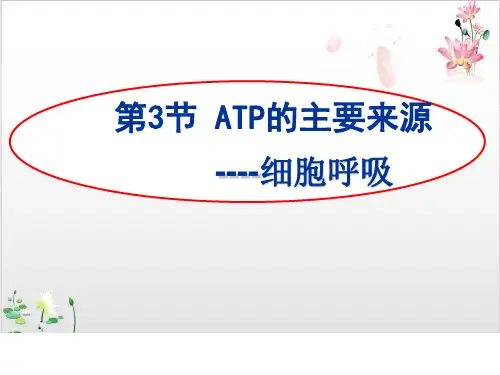 人教版高中生物必修一ATP的主要来源—细胞呼吸-ppt精品课件