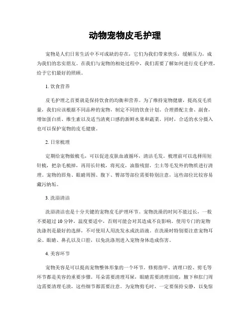 动物宠物皮毛护理