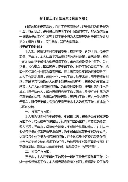 村干部工作计划范文（精选5篇）
