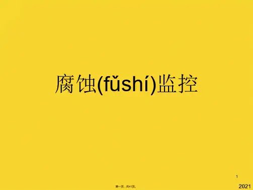 腐蚀监控(共41张PPT)精选