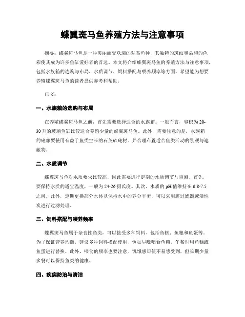 蝶翼斑马鱼养殖方法与注意事项