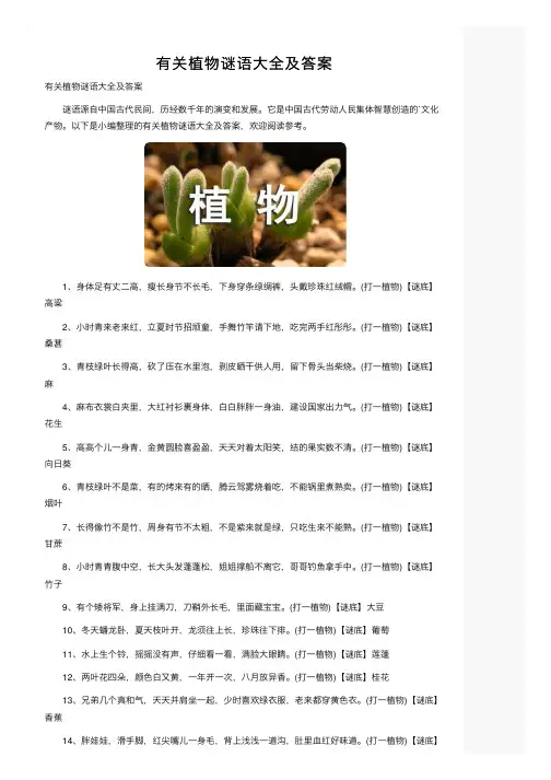 有关植物谜语大全及答案