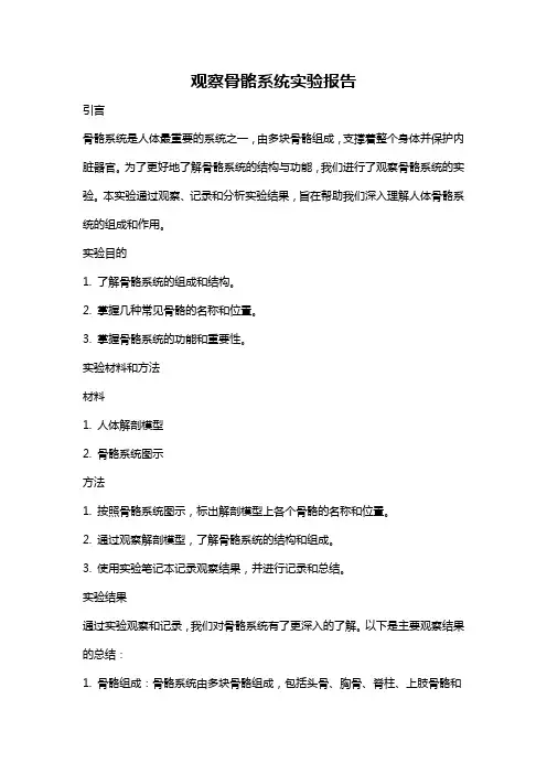 观察骨骼系统实验报告