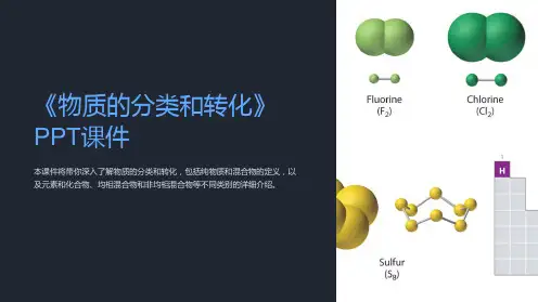 《物质的分类和转化》课件