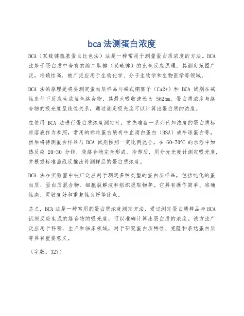 bca法测蛋白浓度