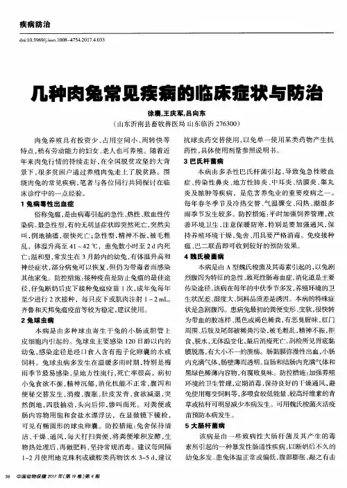 几种肉兔常见疾病的临床症状与防治
