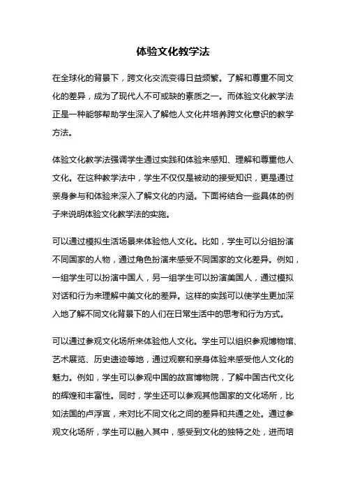 体验文化教学法
