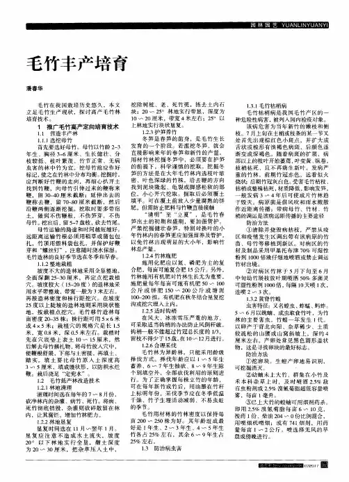毛竹丰产培育