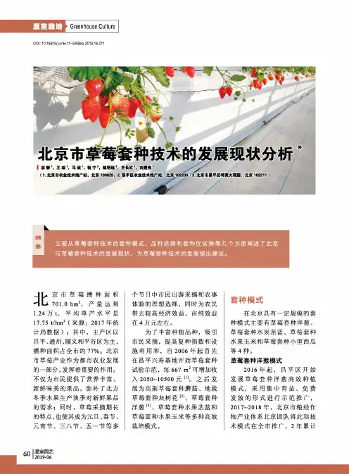 北京市草莓套种技术的发展现状分析