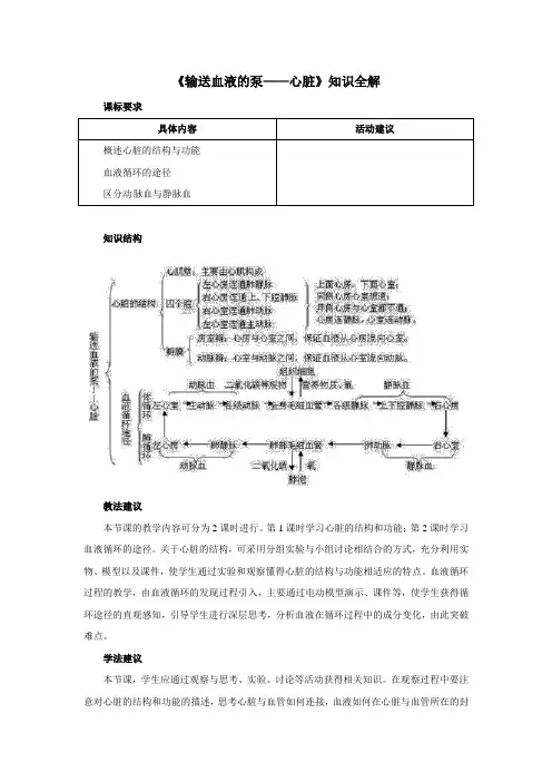 人教版七年级生物下册《输送血液的泵——心脏》知识全解