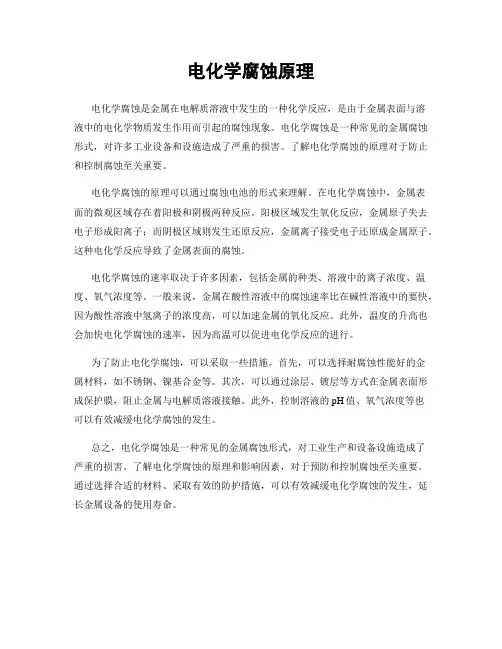 电化学腐蚀原理