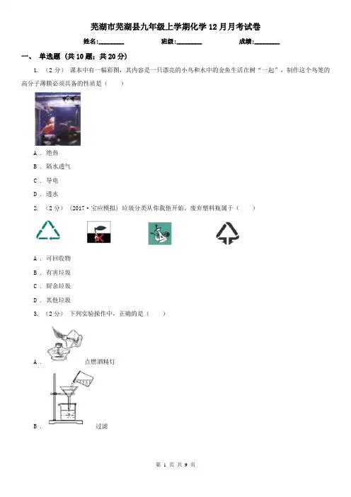 芜湖市芜湖县九年级上学期化学12月月考试卷