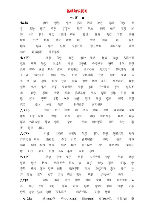 四川省乐山外国语学校九年级语文中考总复习资料