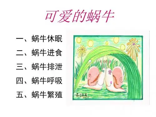 教科版科学三上《蜗牛二》PPT课件2