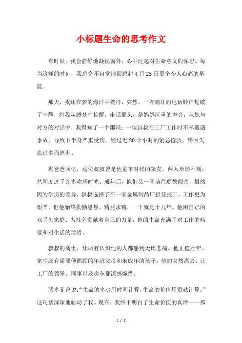 小标题生命的思考作文