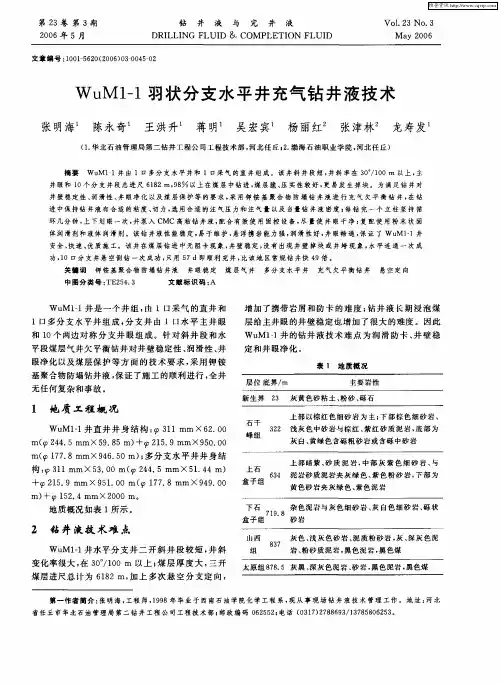 WuM1-1羽状分支水平井充气钻井液技术