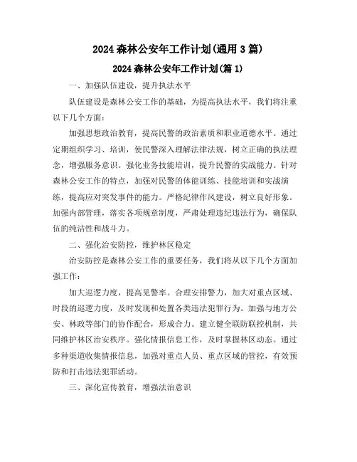 2024森林公安年工作计划(通用3篇)
