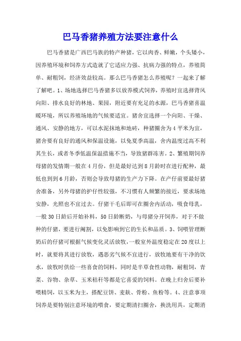 巴马香猪养殖方法要注意什么