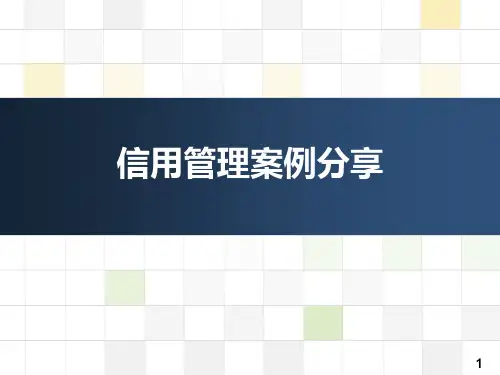 信用管理案例说明