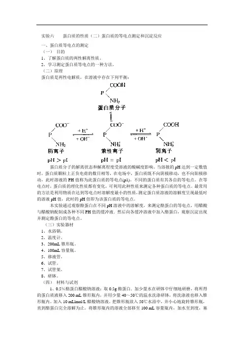 蛋白质性质实验