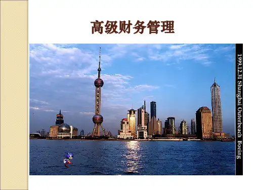 第六章_企业集团的资金运筹..