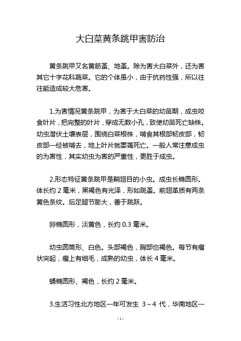 大白菜黄条跳甲害防治