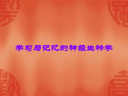 学习与记忆的神经生物学