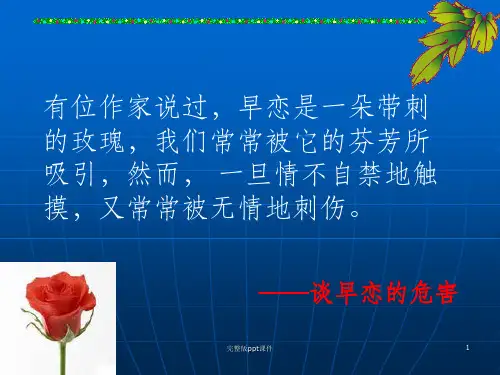 中学生早恋主题班会ppt课件