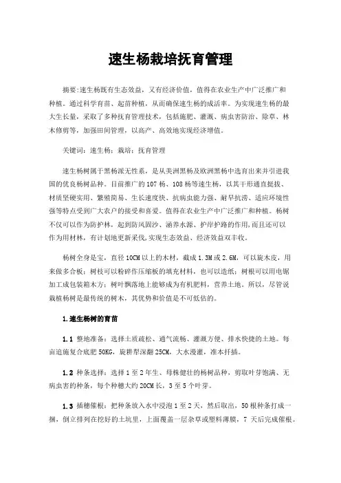 速生杨栽培抚育管理