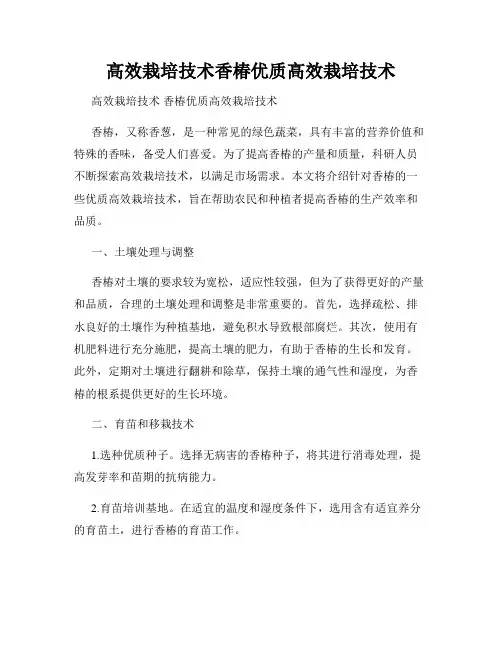 高效栽培技术香椿优质高效栽培技术