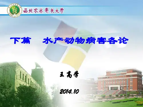 水产病害学第七章病毒性疾病(讲稿)