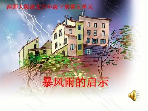 六语17暴风雨的启示课件