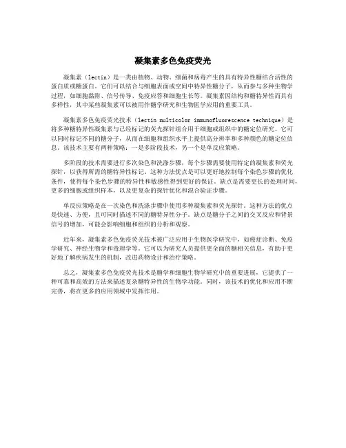 凝集素多色免疫荧光
