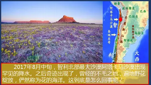 植被课件-高中地理人教版(2019)必修一 