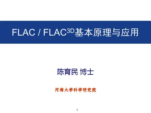 FLAC3D动力分析 陈育民资料讲解